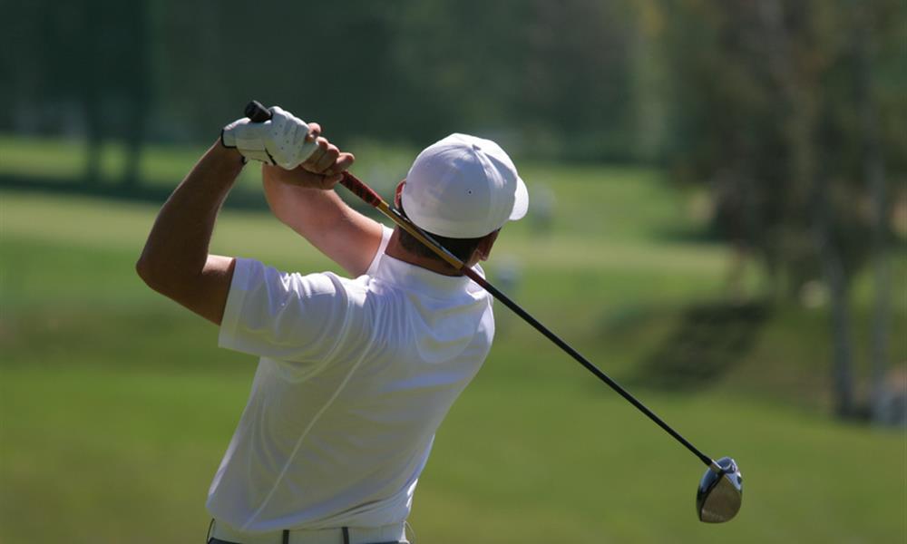 Golf club des Fontenelles -  L'AIGUILLON SUR VIE