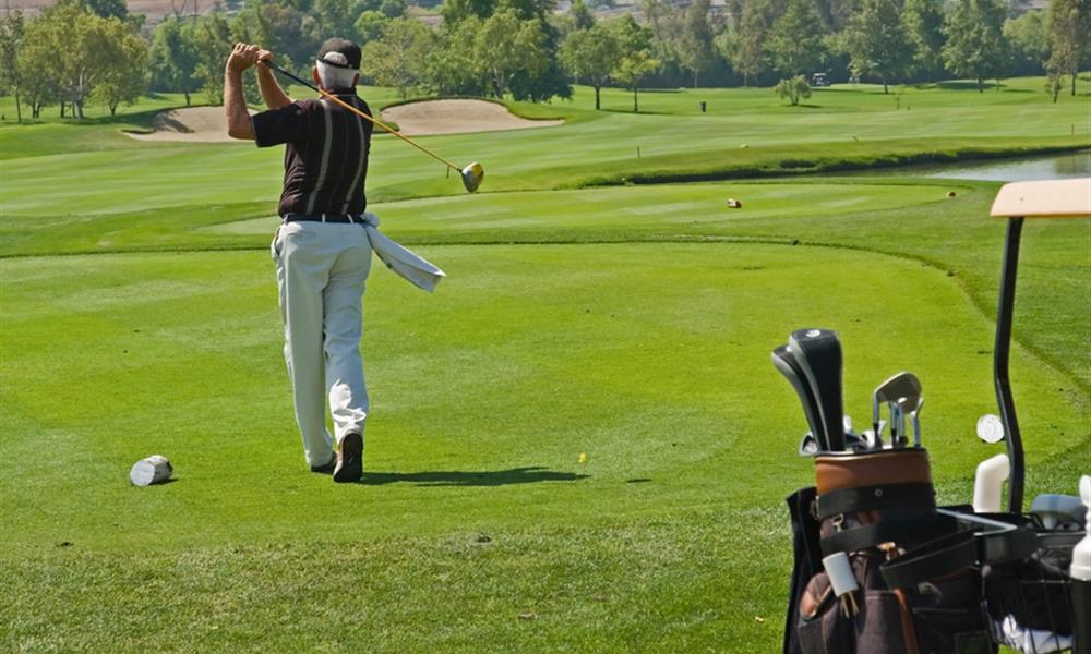Golf club des Fontenelles -  L'AIGUILLON SUR VIE