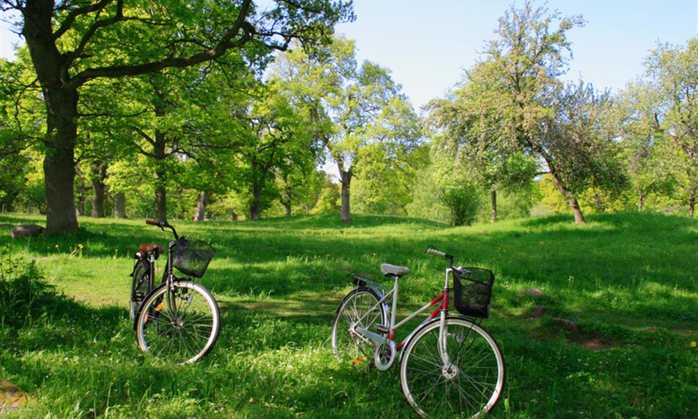 A la découverte de la Vendée à vélo
