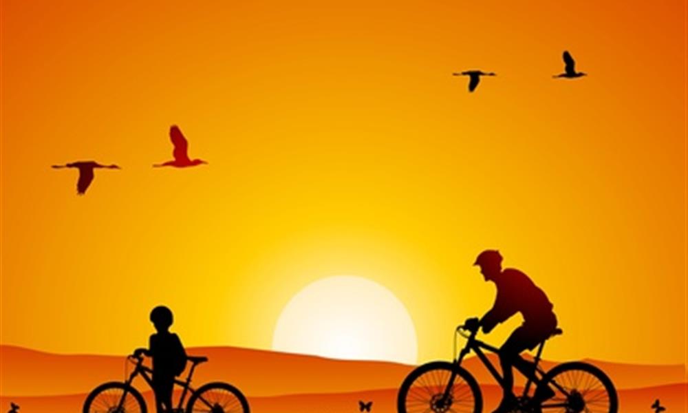 A la découverte de la Vendée à vélo
