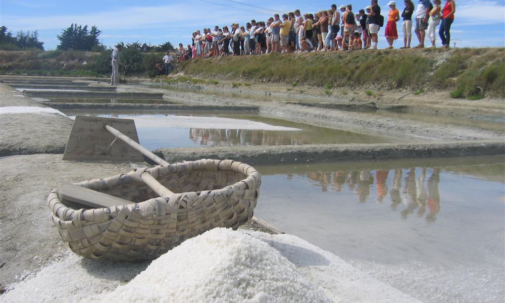 - Les marais salants St Hilaire de Riez