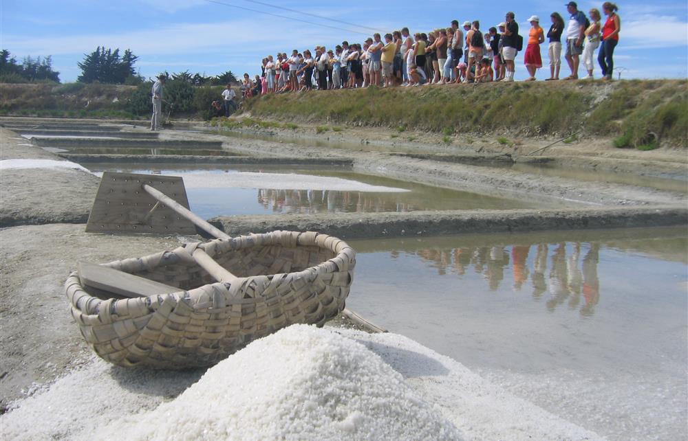 - Les marais salants St Hilaire de Riez
