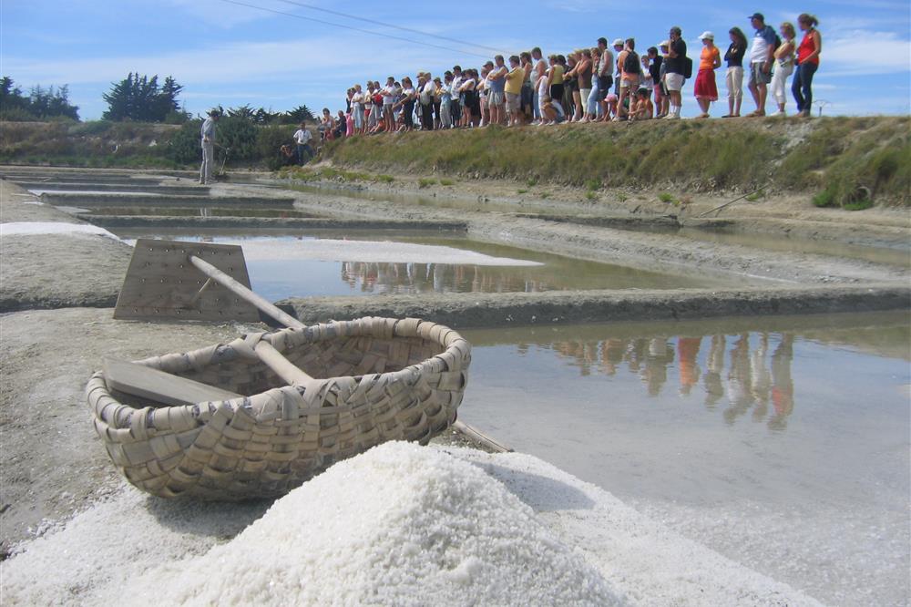 - Les marais salants St Hilaire de Riez